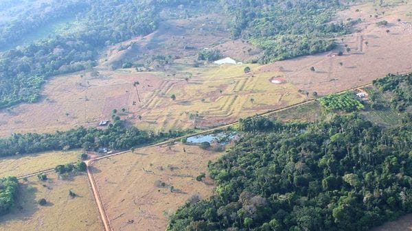 Trovate in Amazzonia oltre 400 antiche strutture precolombiane