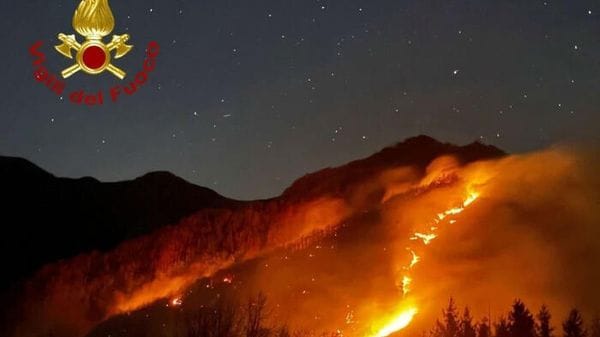 Wwf, in Italia questa estate bruciati da incendi 70mila ettari, +133%
