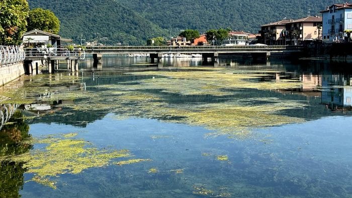 https://storage.ecodibergamo.it/media/photologue/2026/8/6/photos/cache/alghe-prateria-nel-sebino-in-secca-chiudono-due-imbarcaderi_34c80fbc-9103-11f1-94d0-c6d48a8fd97f_1920_1080_v3_large_16_9.jpeg