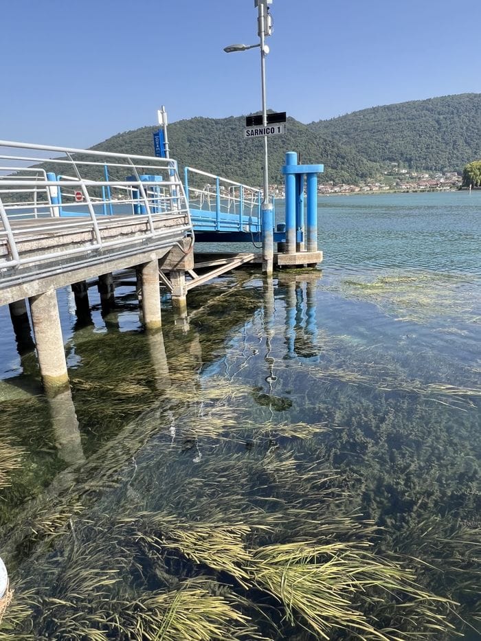 Alghe: prateria nel Sebino in secca, chiudono due imbarcaderi