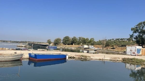 Al via la rimozione dei rifiuti sulle coste del Mar Piccolo di Taranto