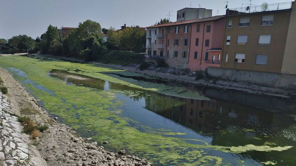 Incubo siccità nella Bergamasca: al limite l’acqua per l’agricoltura 