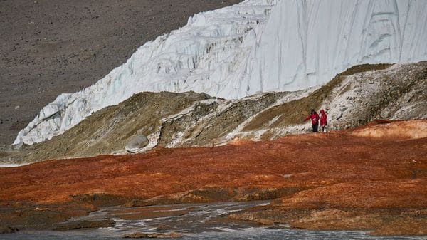 Nelle cascate di sangue dell'Antartide antichi microrganismi marini