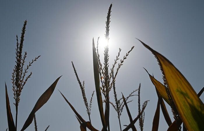 Siccità, costi triplicati per l'Italia con 2 gradi in più