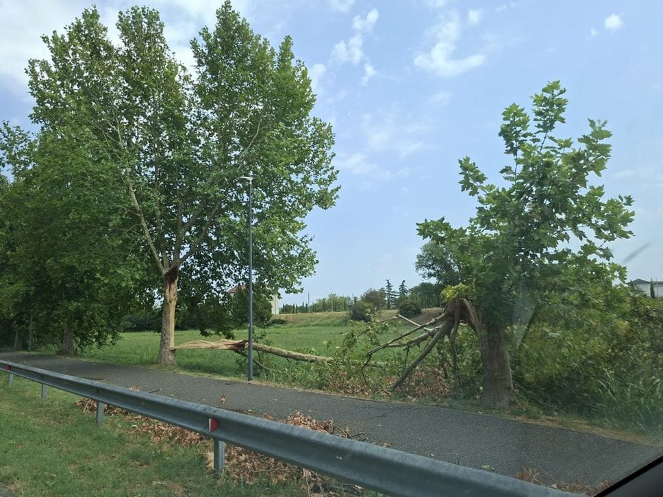 Forte temporale ad Arzago d’Adda: tetti scoperchiati e alberi caduti - Foto e video