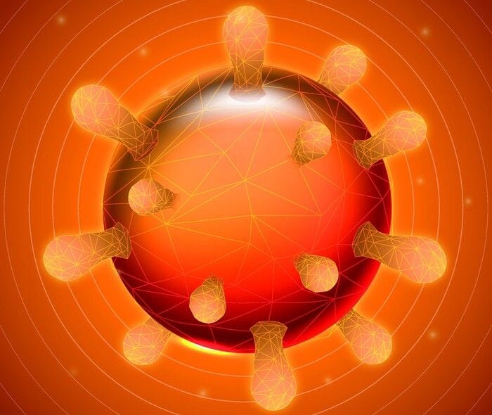 Nell'antenna delle cellule la chiave per i difetti del cuore 