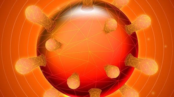 Nell'antenna delle cellule la chiave per i difetti del cuore 