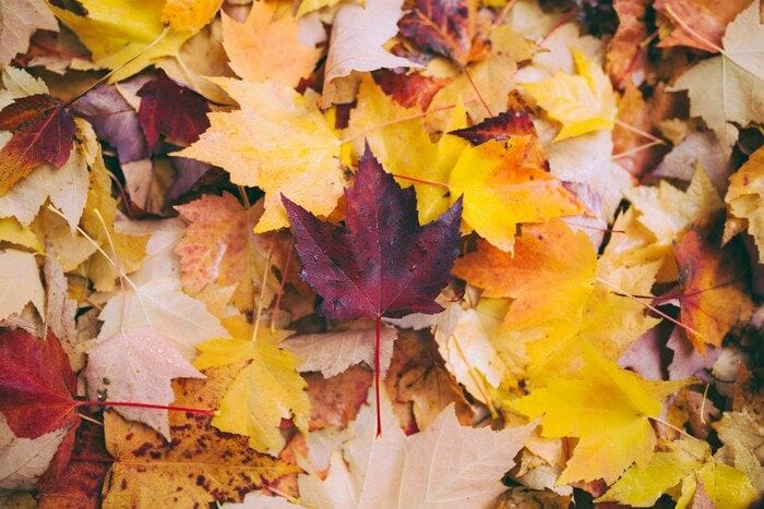Il cielo di settembre si prepara a salutare l'equinozio d'autunno
