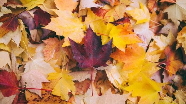 Il cielo di settembre si prepara a salutare l'equinozio d'autunno