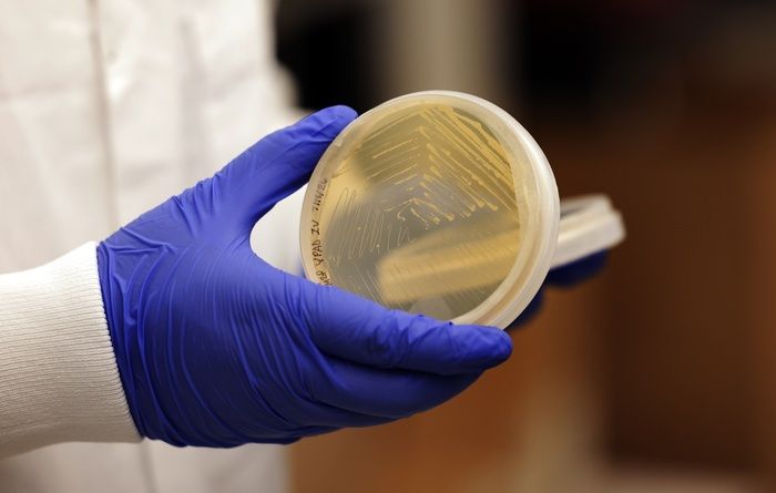 Influenza, funziona nei topi un vaccino universale 