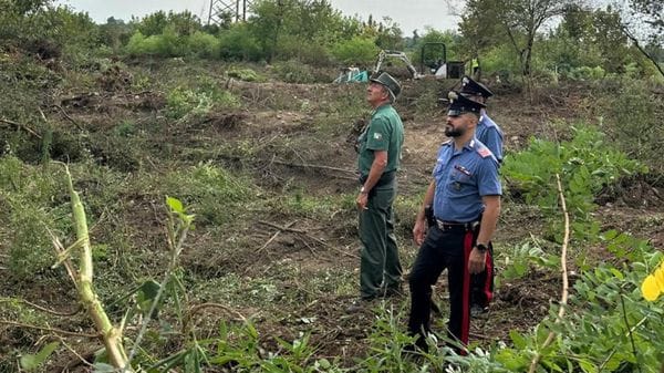 Spaccio di droga, la situazione in  Bergamasca tra boschi e kalashnikov