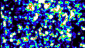 Molecole fluorescenti mostrano come il Dna si ripiega nelle cellule 
