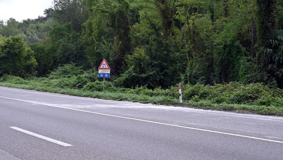 Morta a 40 anni dopo l’incidente ad Albano, il papà di Moira: «Troppe tragedie: la strada va messa in sicurezza»