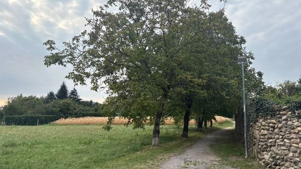 Il paesaggio agrario racconta  come abitiamo e cosa vogliamo lasciare dopo di noi