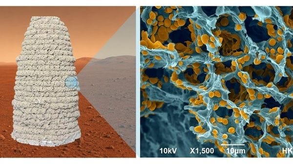 Marte, lievito e gelatina per stampare le case del futuro in 3Dv
