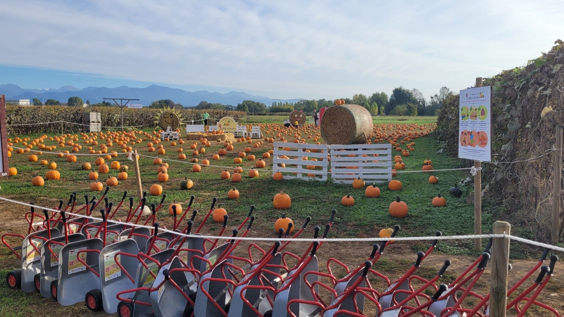 A Tulipania l’autunno comincia in un campo di zucche (che puoi raccogliere anche tu)