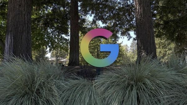 Google investe sulle risaie in Brasile per ridurre metano e CO₂