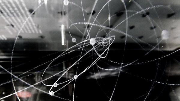 Primo teletrasporto quantistico di un'immagine 