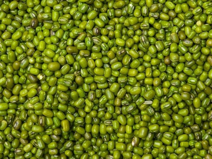 Trovati i 'semi dell'apocalisse', possono resistere per decenni 