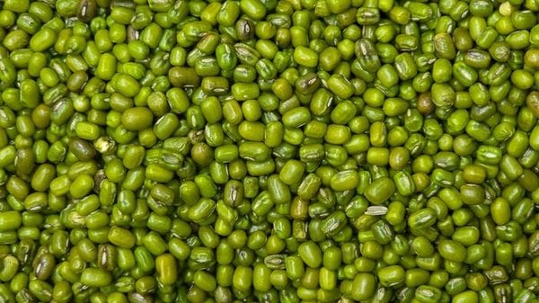Trovati i 'semi dell'apocalisse', possono resistere per decenni 