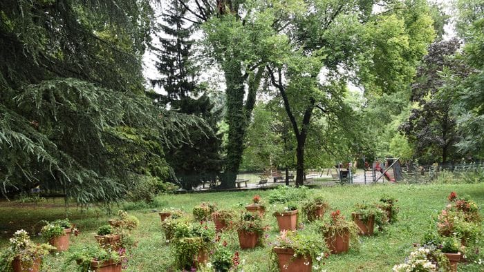 a parco suardi tre giorni dedicati al tree climbing e alla natura da Ecodibergamo.it a parco suardi tre giorni dedicati al tree climbing e alla natura