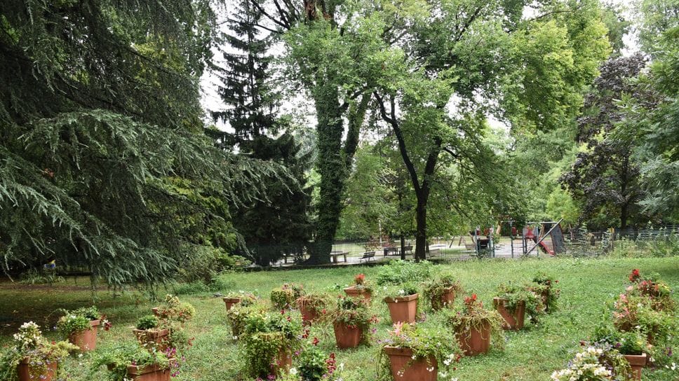 A Parco Suardi tre giorni dedicati al tree climbing e alla natura