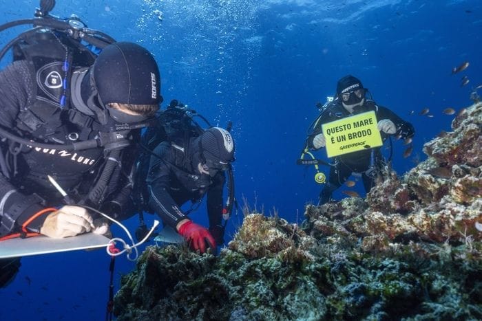 Greenpeace, forte stress e morie in acque Ustica per caldo estremo