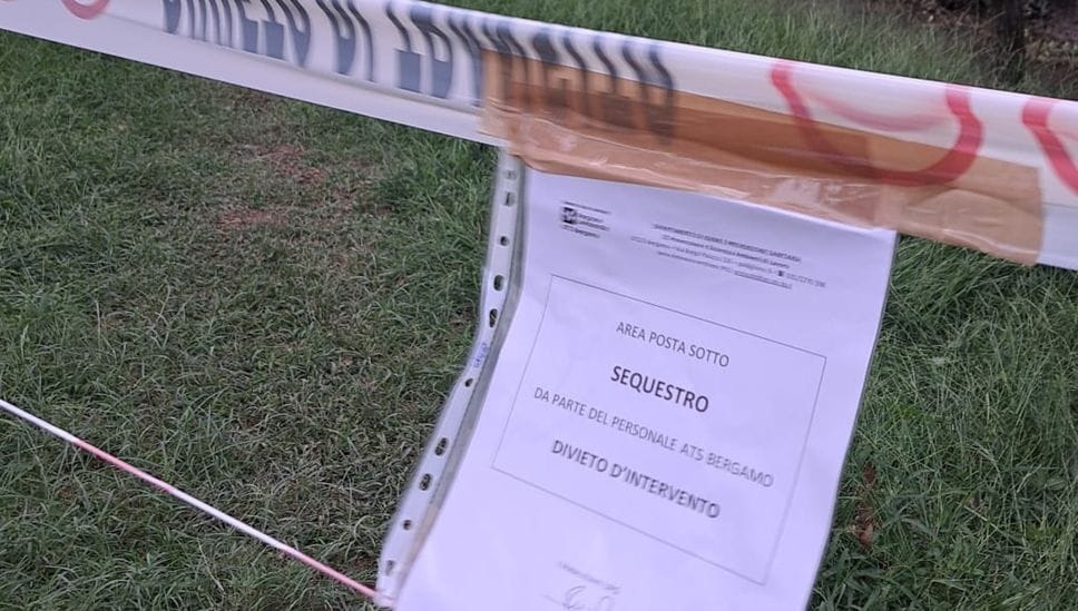 Romano, colpito da un albero mentre lavora: muore un 56enne