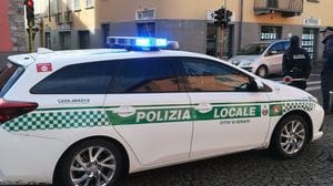 Seriate, investe e uccide un cane: rintracciato con le telecamere