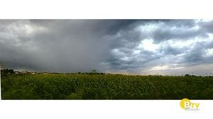 METEO Regazzoni
