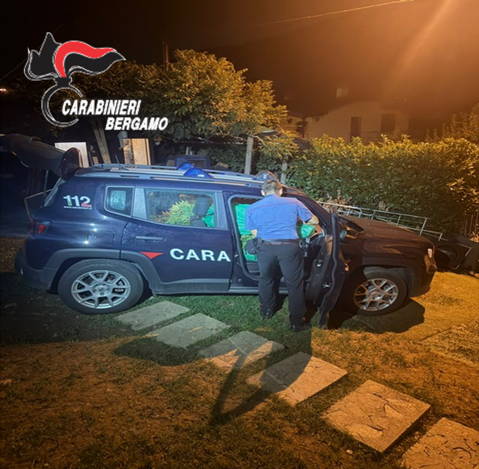 Albino, sei chili di marijuana in casa: denunciata una coppia