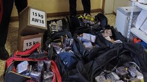 Caprino Bergamasco, sequestrati 230 chili di droga in un garage - Foto e video