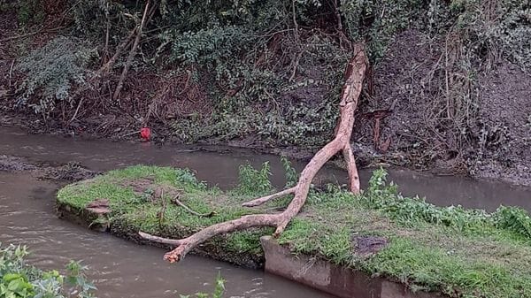 Due anni e poi la meritata pensione: il dramma a Fontanella per il 56enne morto colpito da un albero