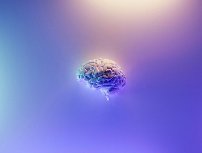Il cervello non è uno solo, in realtà sono due organi distinti