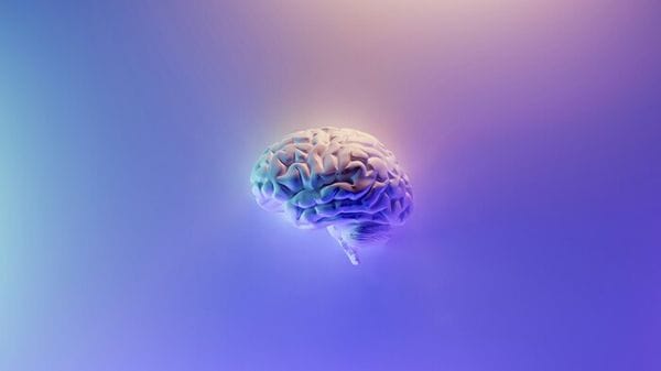 Il cervello non è uno solo, in realtà sono due organi distinti