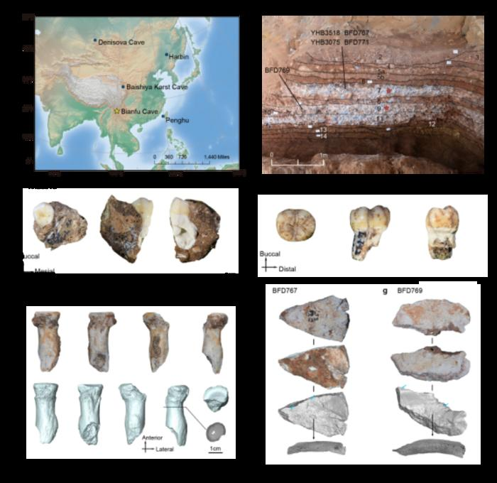 Nuovi fossili raccontano la vita dei cugini dell'uomo vissuti 130mila anni fa