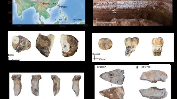 Nuovi fossili raccontano la vita dei cugini dell'uomo vissuti 130mila anni fa