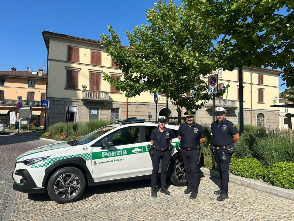 Palosco, quattro gattini abbandonati in una scatola: denunciato un 33enne