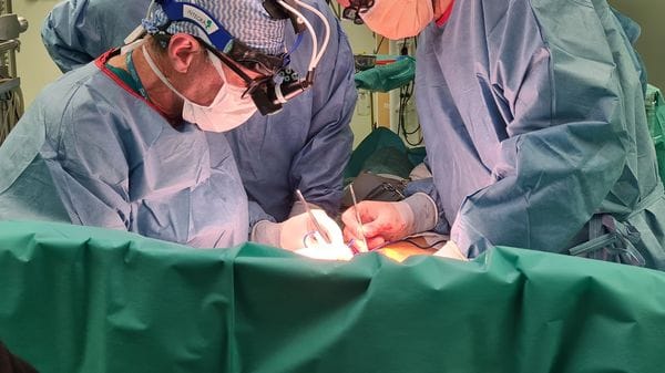Cuore, se le «camere» non funzionano bene le cure non mancano