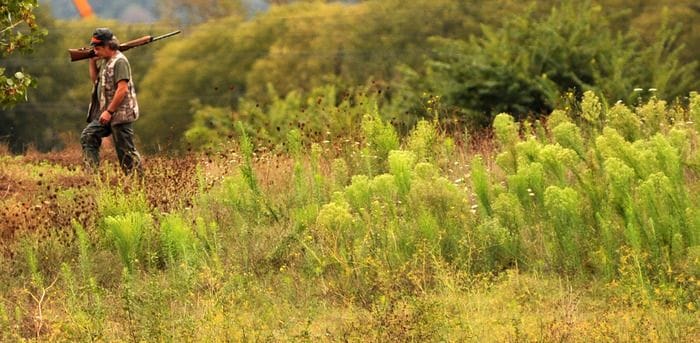 Wwf, stagione caccia aperta ma paese va in un'altra direzione
