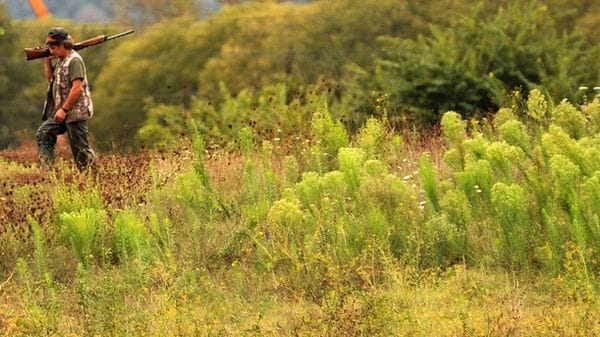 Wwf, stagione caccia aperta ma paese va in un'altra direzione