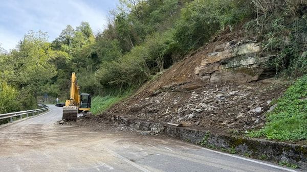 Frana sulla provinciale 17 a Berbenno: strada riaperta