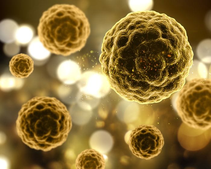 Nell'organismo che invecchia le cellule diventano zombie 