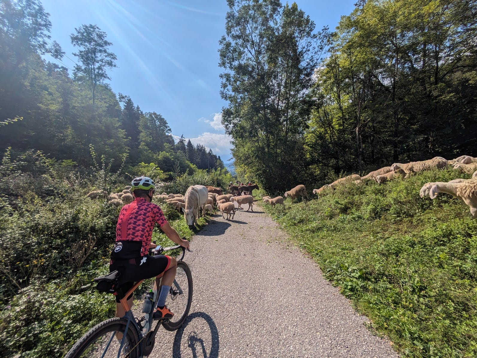 Pedalando da Ranica a Clusone, lungo il fiume Serio sulla prima ciclovia della bergamasca