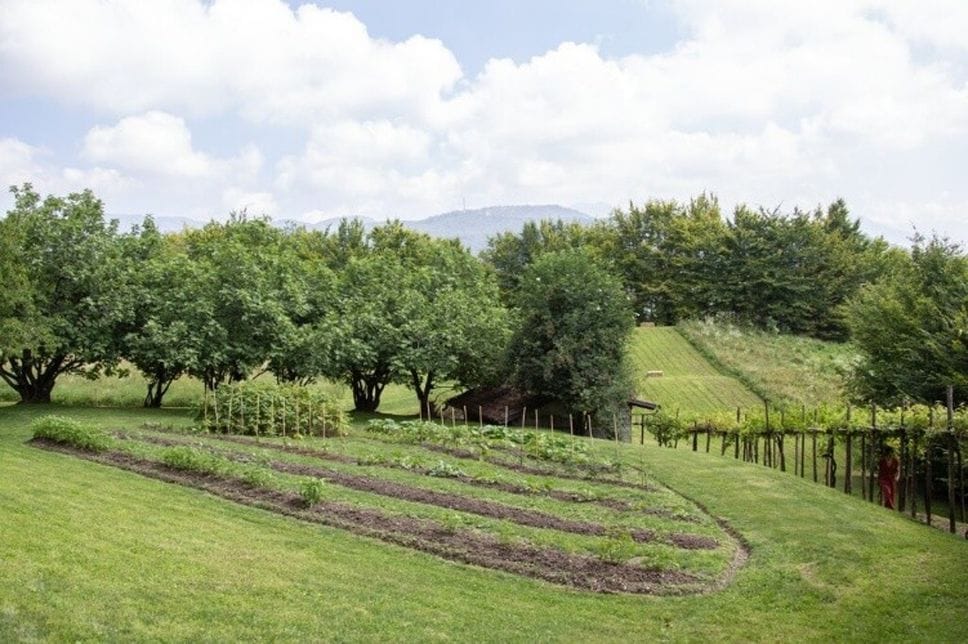 Città Alta, a Palazzo Moroni un weekend tra api, fiori e biodiversità