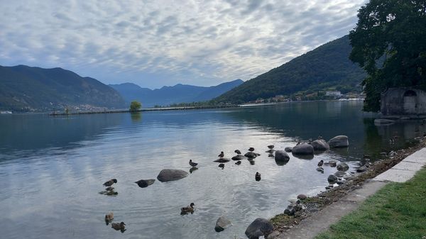 Il ritrovo del mattino