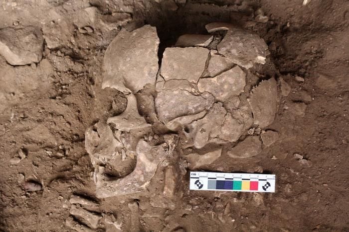 L'uomo faceva uso di sostanze psicoattive già 25mila anni fa