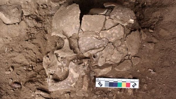 L'uomo faceva uso di sostanze psicoattive già 25mila anni fa