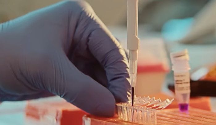 Dall'IA di Anthropic un sistema di enzimi mai visto   VIDEO