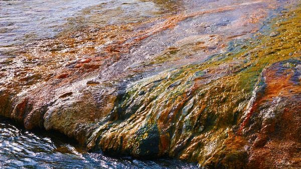 I mattoni della vita formati sulla Terra 4,33 miliardi di anni fa 